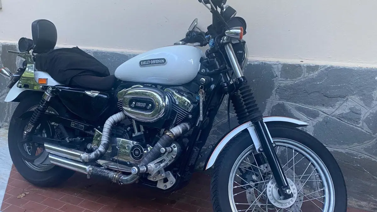 Harley-Davidson 1200 Low (2006 - 07) - XL 1200L 