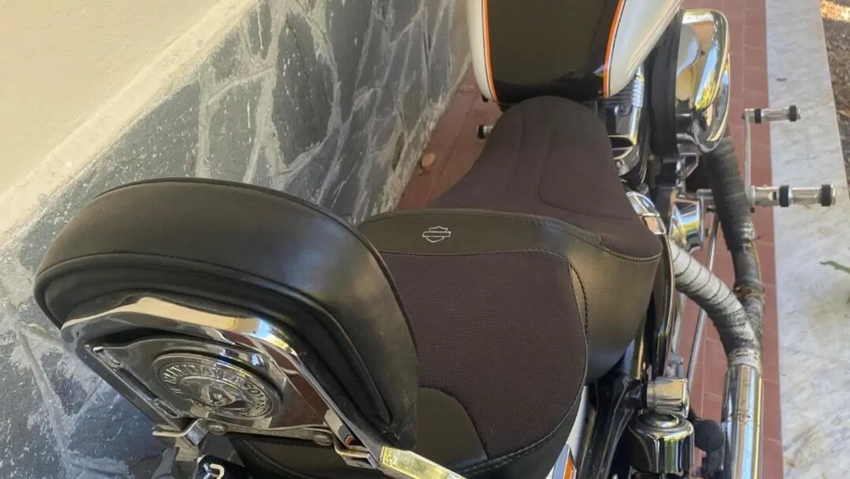 Harley-Davidson 1200 Low (2006 - 07) - XL 1200L  (3)