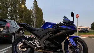 Yamaha YZF R125 (2019 - 20)  (2)