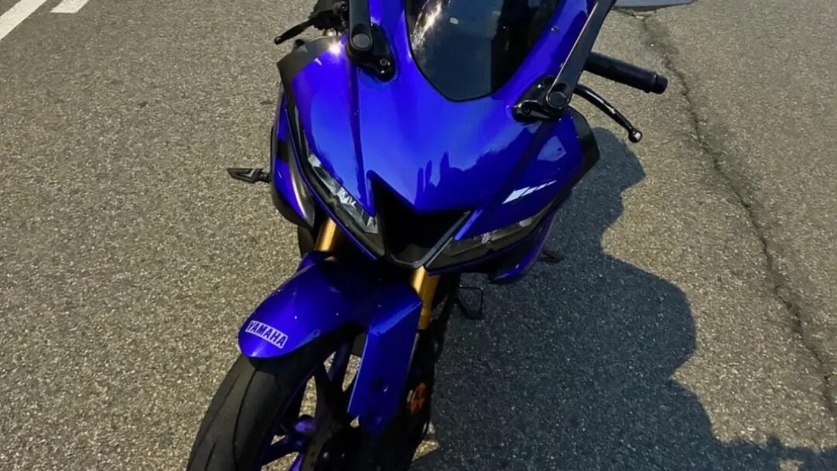 Yamaha YZF R125 (2019 - 20)  (3)