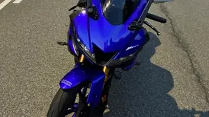 Yamaha YZF R125 (2019 - 20)  (3)