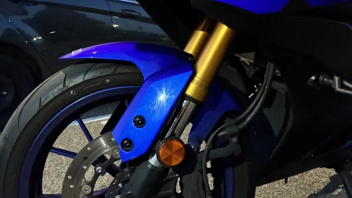 Yamaha YZF R125 (2019 - 20)  (7)