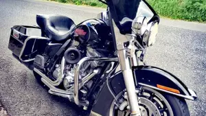 Harley-Davidson 1584 Electra Glide Standard (2007) - FLHT  (2)