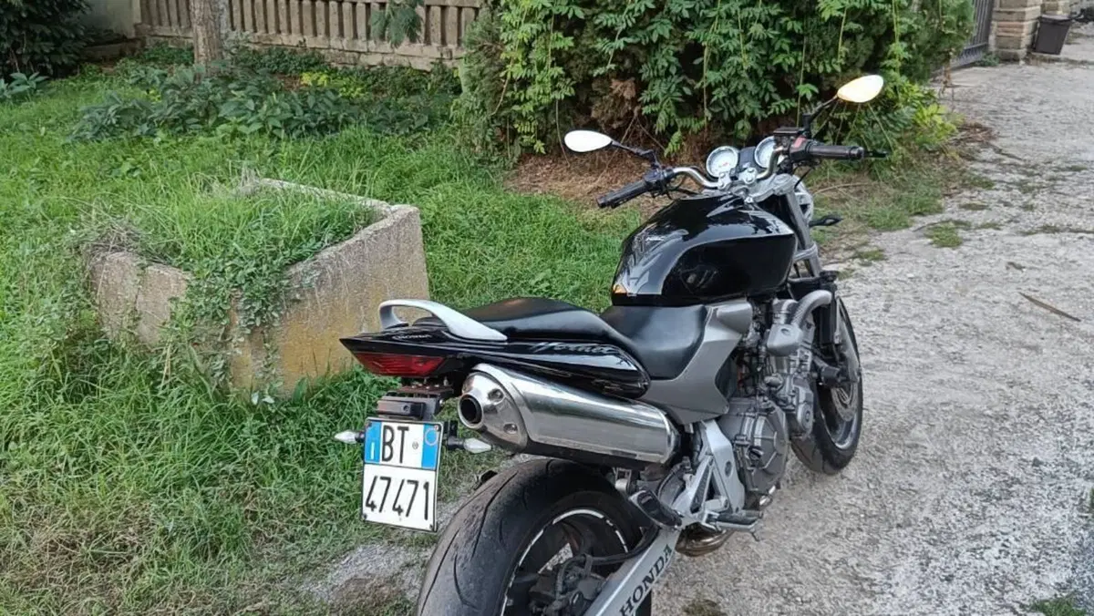 Honda Hornet 600 (2003 - 04)  (4)