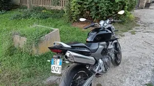 Honda Hornet 600 (2003 - 04)  (4)