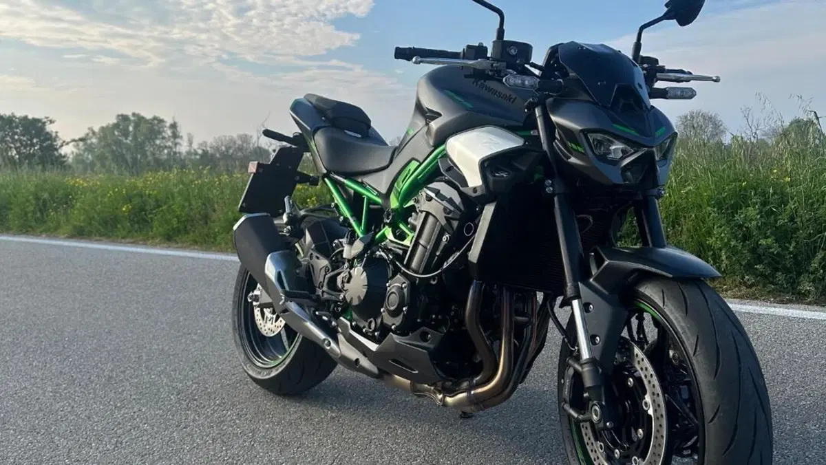 Kawasaki Z 900 (2025 - 27)  (2)