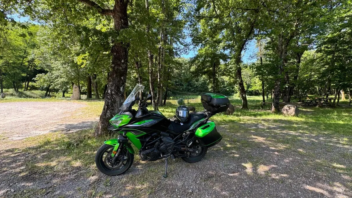 Kawasaki Versys 650 Grand Tourer (2022 - 24)  (4)