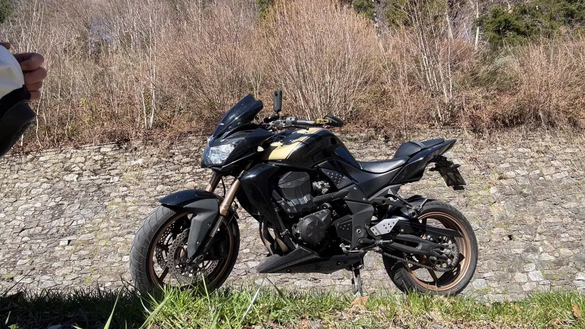 Kawasaki Z 750 R (2011 - 14)  (2)