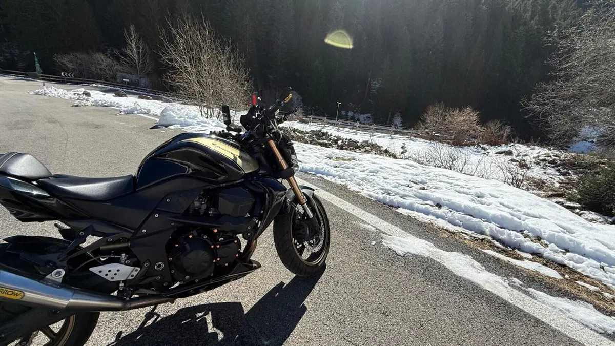 Kawasaki Z 750 R (2011 - 14)  (6)