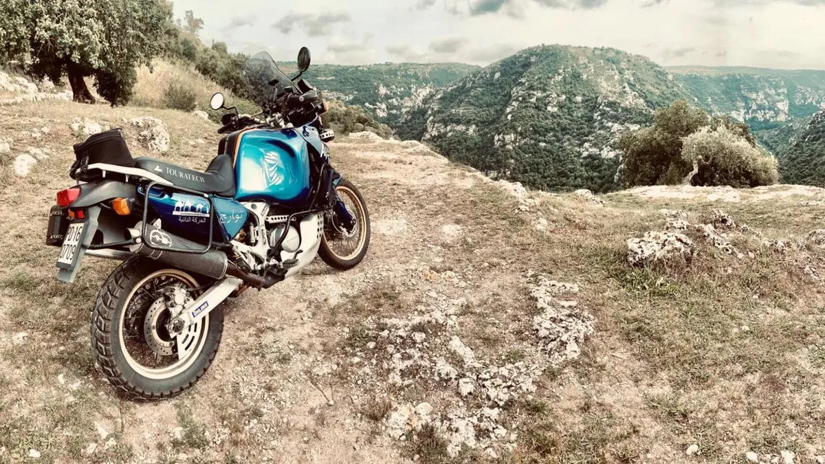 Honda Africa Twin XRV 750 (1993 - 95)  (4)