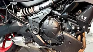 Kawasaki Versys 650 (2021 - 24)  (4)