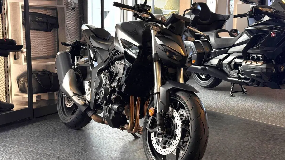 Honda CB 1000 Hornet (2025 - 26)  (3)
