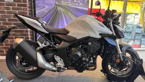 Honda CB 1000 Hornet (2025 - 26)  (7)