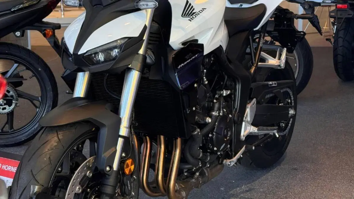 Honda CB 1000 Hornet (2025 - 26)  (6)