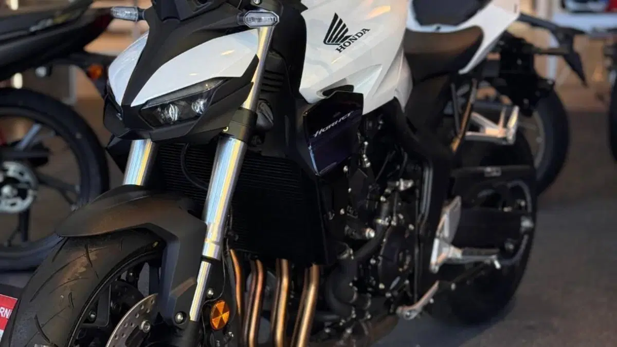 Honda CB 1000 Hornet (2025 - 26)  (2)