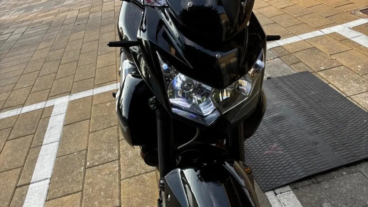 Kawasaki Z 750 (2007 - 14)  (3)