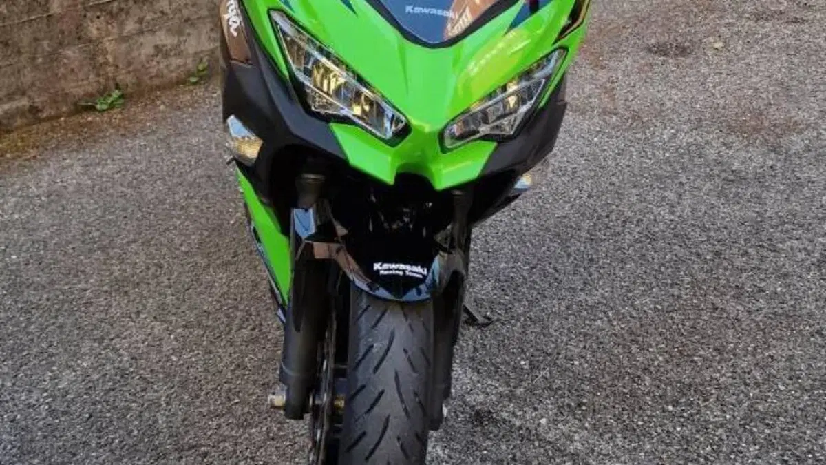 Kawasaki Ninja 400 (2018 - 20)  (3)