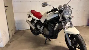 Suzuki   (6)