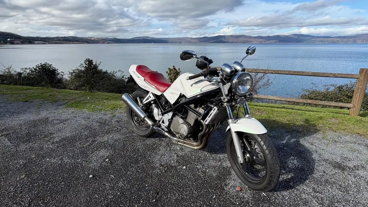 Suzuki   (8)