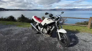 Suzuki   (8)