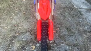 Betamotor RR 300 2T Enduro Racing (2023)  (6)