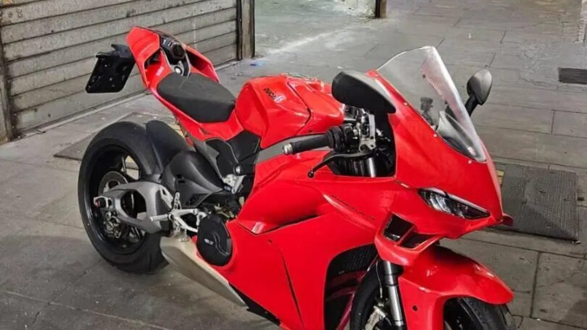 Ducati Panigale V4 (2025 - 26)  (3)