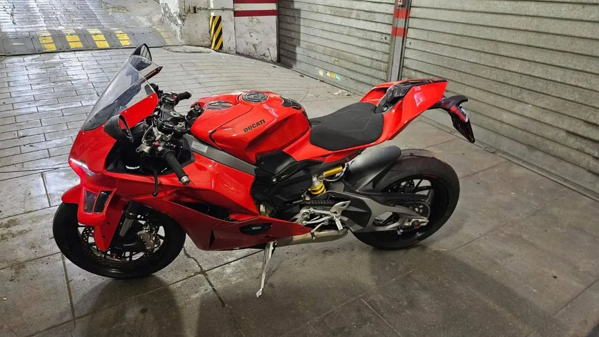 Ducati Panigale V4 (2025 - 26)  (7)