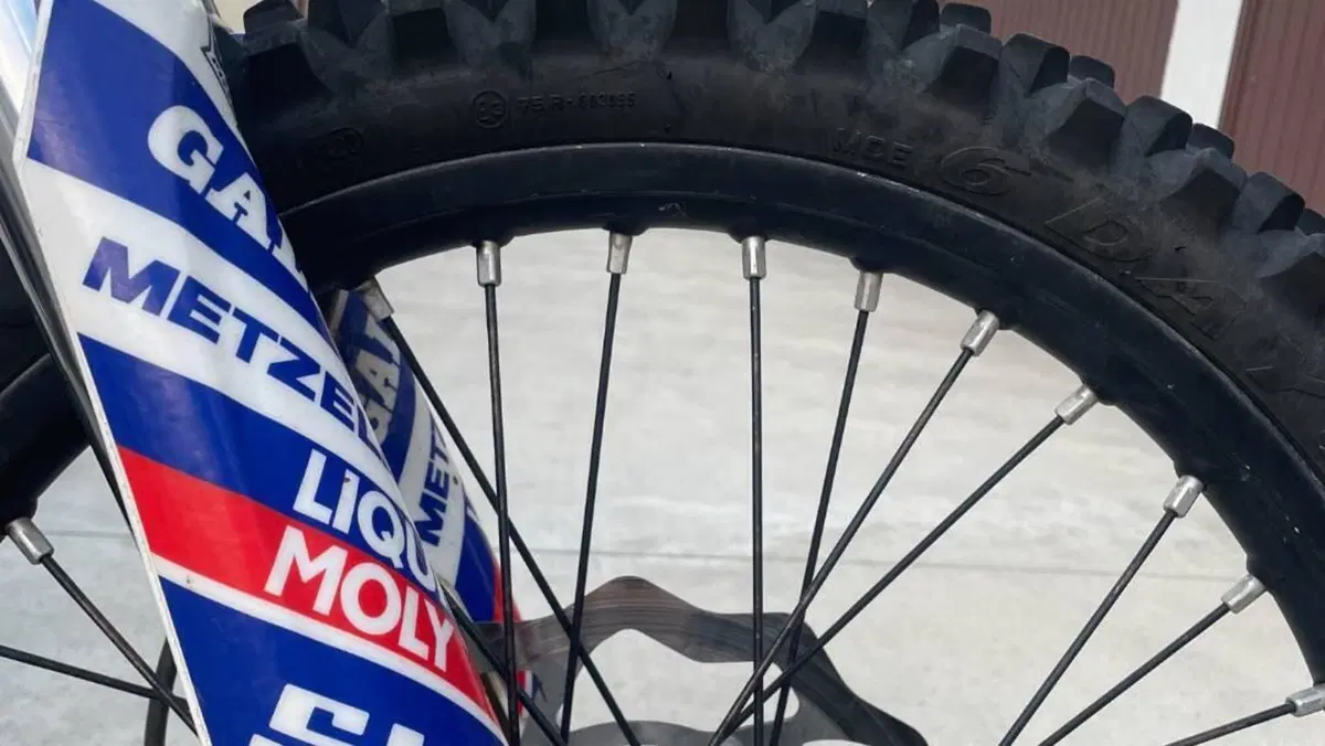 Betamotor RR 125 2T Enduro (2020)  (7)