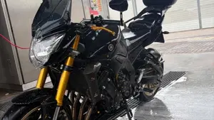 Yamaha FZ8 (2010 - 12)  (3)