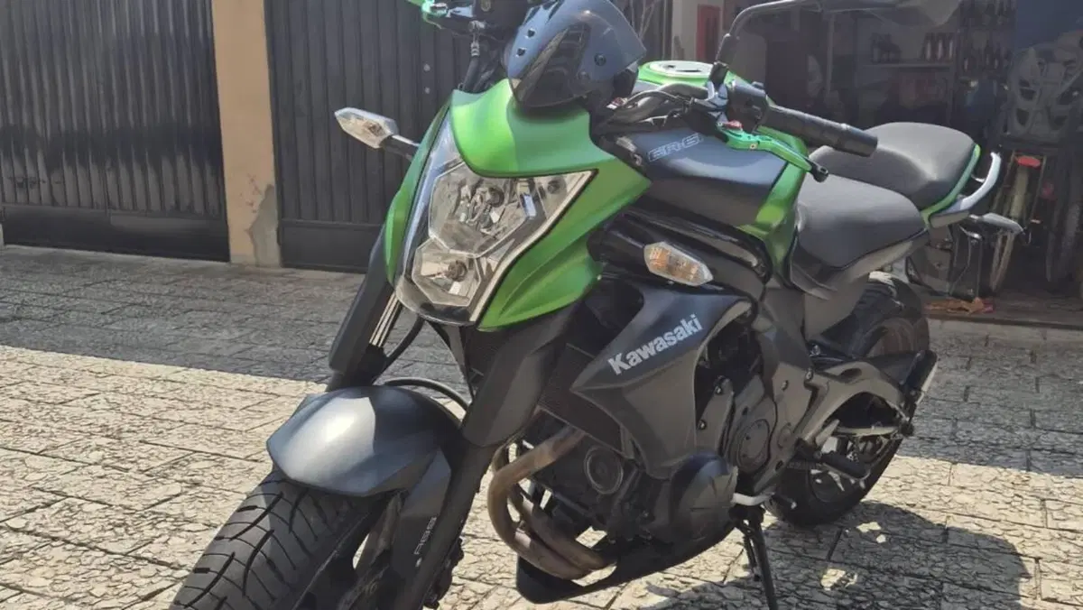Kawasaki ER-6N ABS (2012 - 16)  (6)