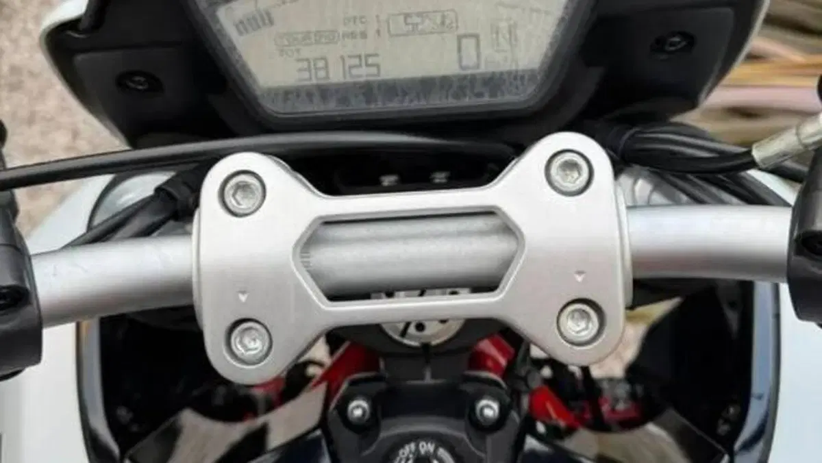 Ducati Hypermotard 939 (2016 - 18)  (3)