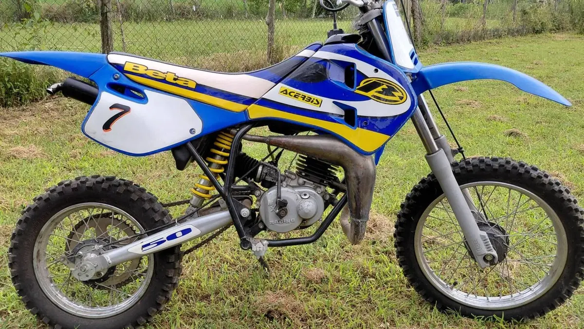Betamotor Minicross R12 (2014 - 17)  (7)