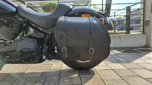 Harley-Davidson Low Rider S (2022 - 24)  (4)