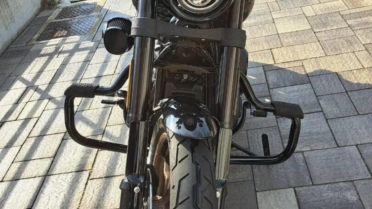 Harley-Davidson Low Rider S (2022 - 24)  (6)