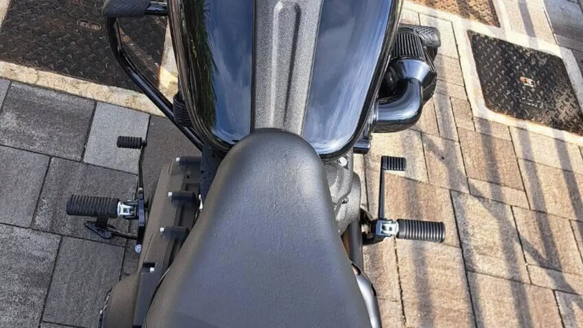 Harley-Davidson Low Rider S (2022 - 24)  (7)