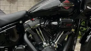 Harley-Davidson Low Rider ST (2025 - 26)  (5)