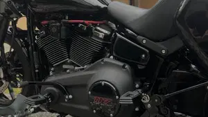 Harley-Davidson Low Rider ST (2025 - 26)  (6)