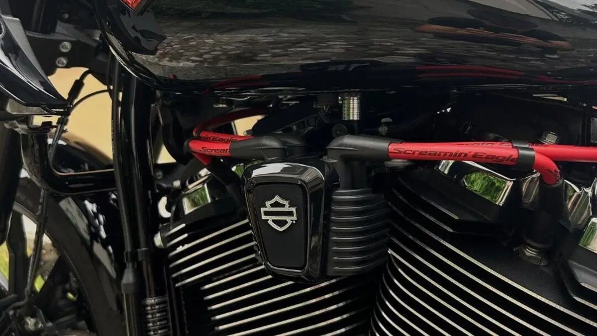 Harley-Davidson Low Rider ST (2025 - 26)  (11)