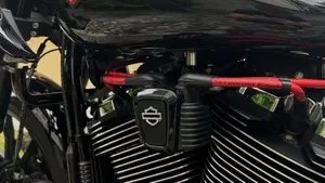Harley-Davidson Low Rider ST (2025 - 26)  (11)