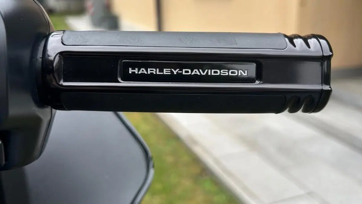 Harley-Davidson Low Rider ST (2025 - 26)  (15)