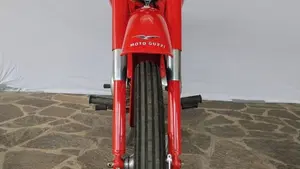 Moto Guzzi   (7)