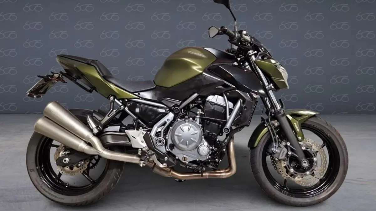 Kawasaki Z 650 (2017 - 19) 