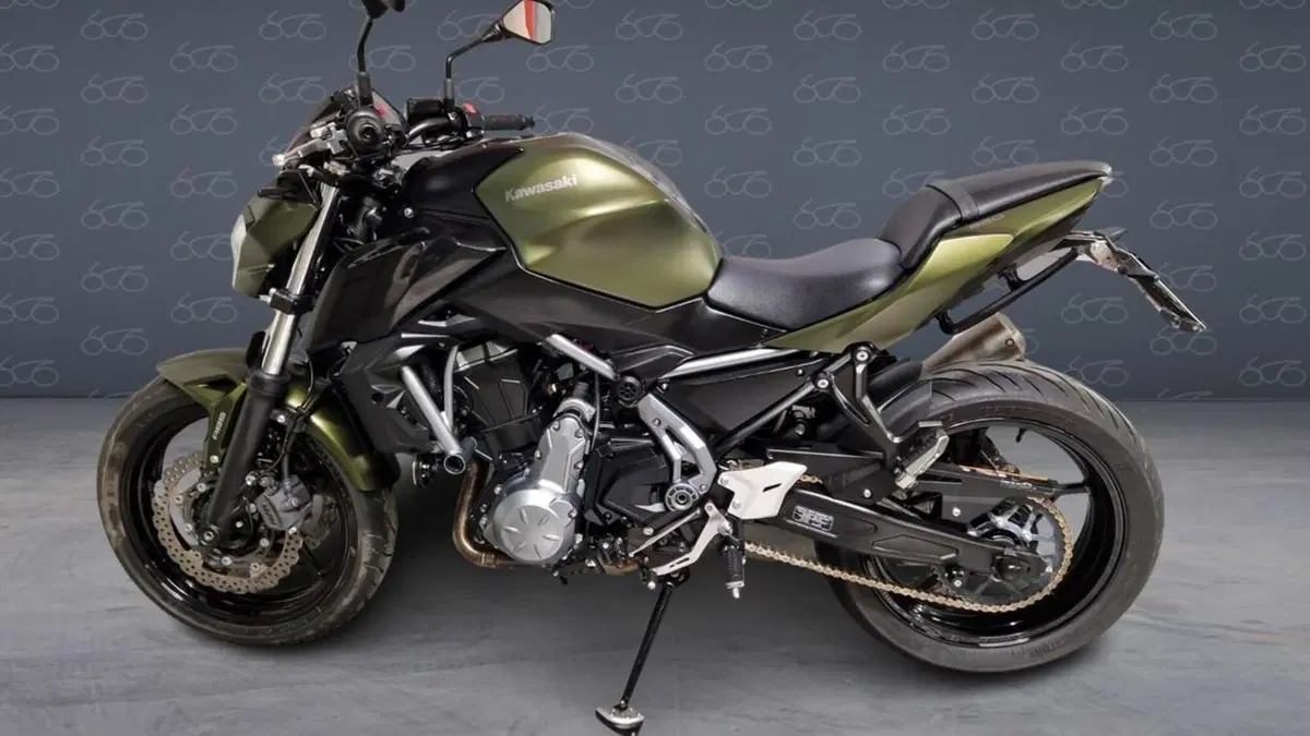 Kawasaki Z 650 (2017 - 19)  (4)