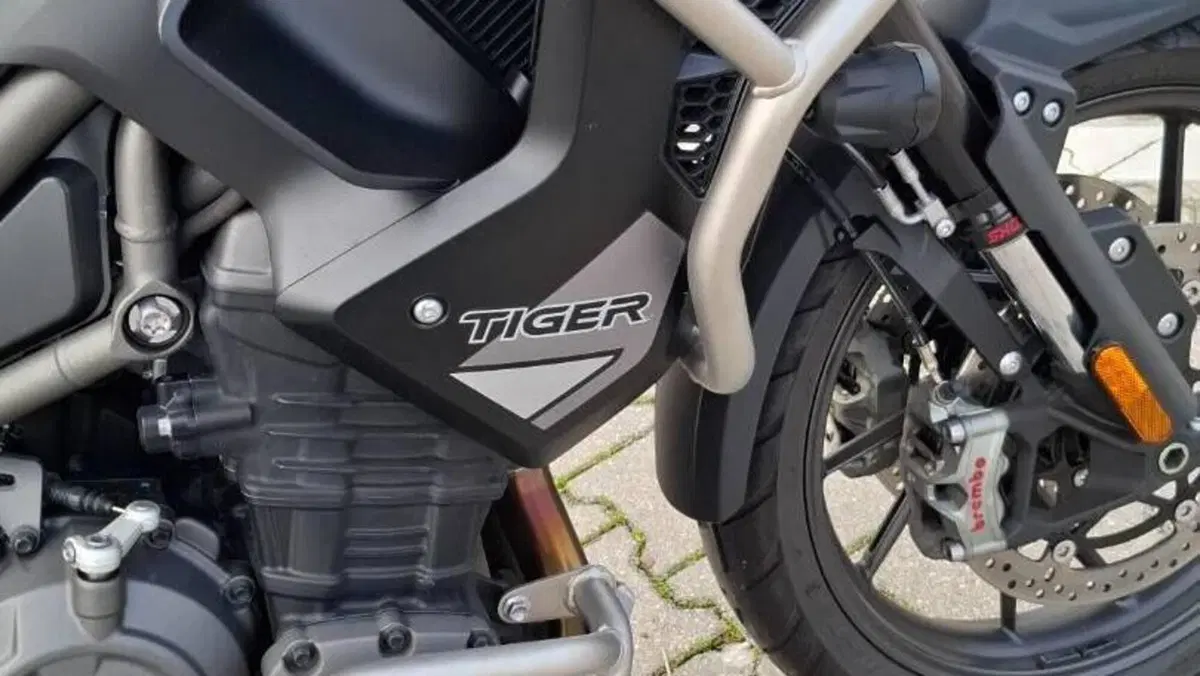 Triumph Tiger 1200 GT Pro (2022 - 23)  (6)
