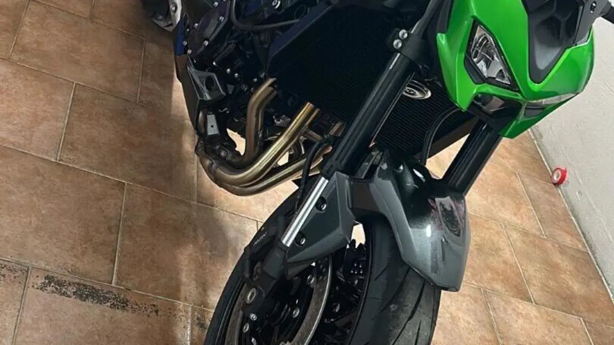 Kawasaki Z 900 Performance (2025 - 27)  (2)