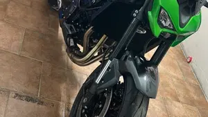 Kawasaki Z 900 Performance (2025 - 27)  (2)