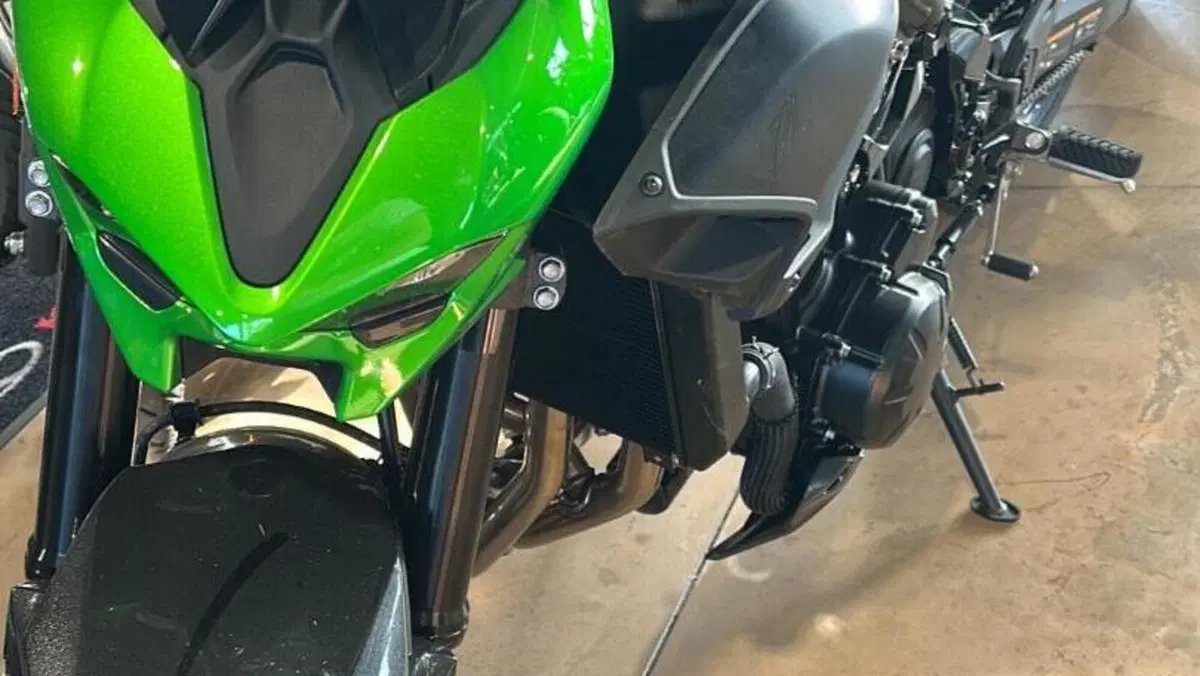 Kawasaki Z 900 Performance (2025 - 27) 