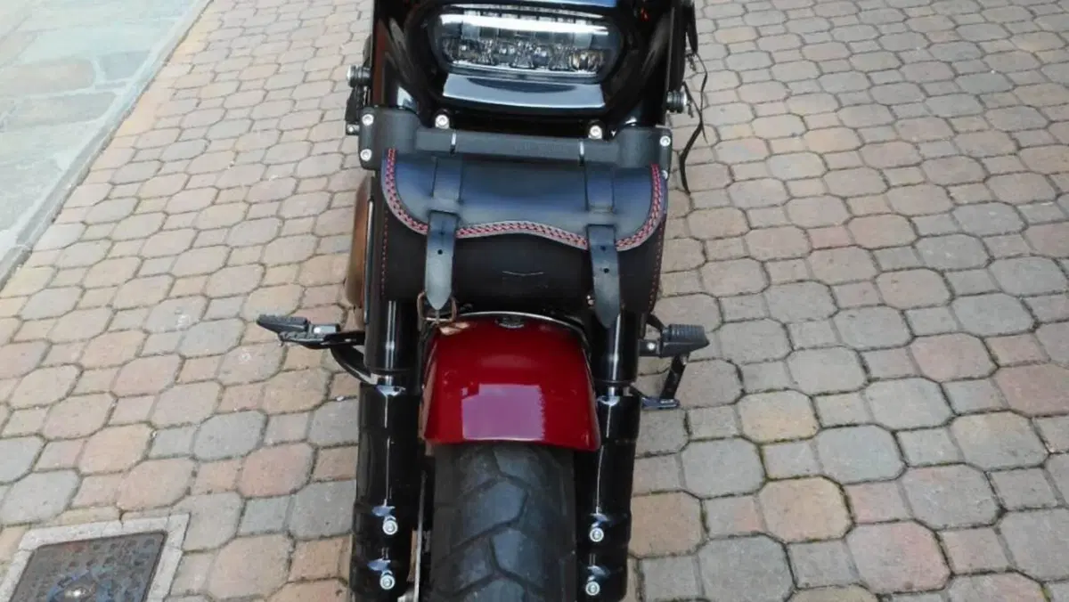 Harley-Davidson 114 Fat Bob (2018 - 20) - FXFBS  (2)