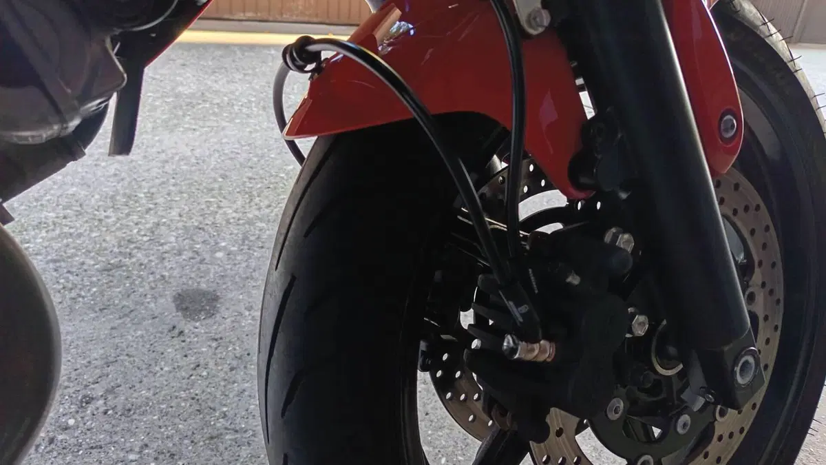 Suzuki Gladius 650 SFV (2009 - 15)  (4)