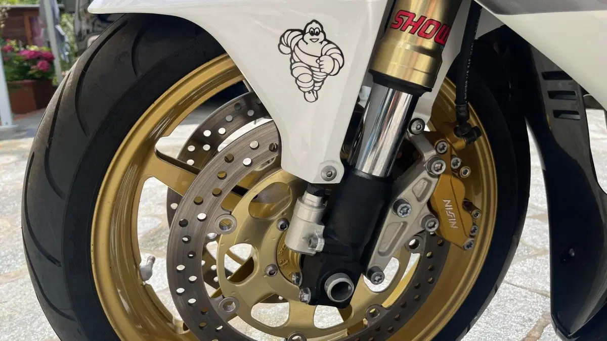 Honda VTR 1000 SP-2 (2002 - 06)  (7)